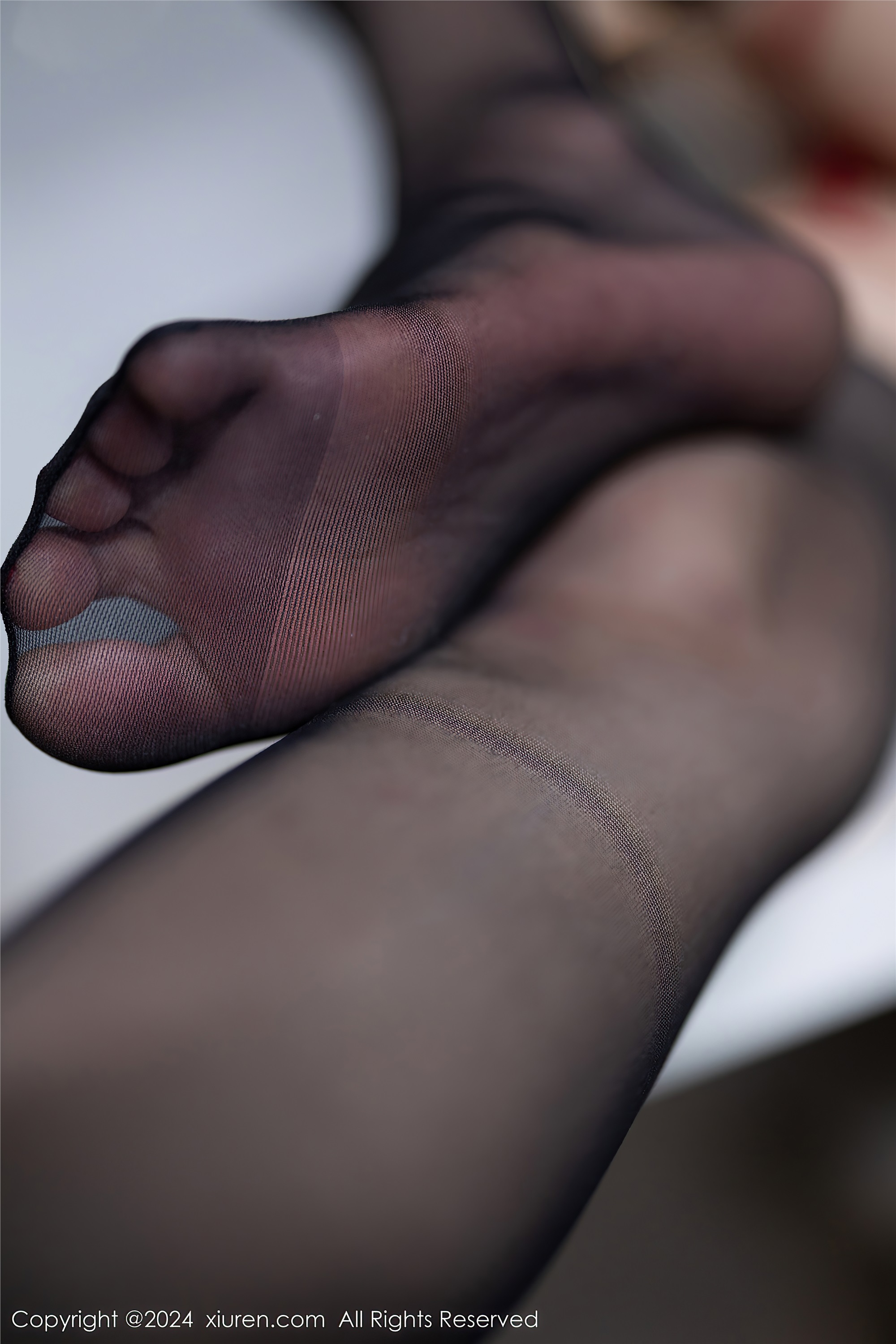 Xiuren秀人网 2024.01.11 NO.7946 程程程-